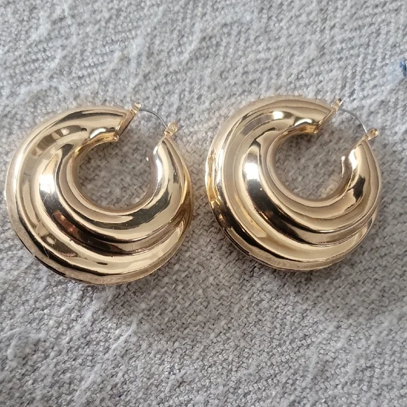 Elegant Gold Hoop Earrings - Picture 1 of 1